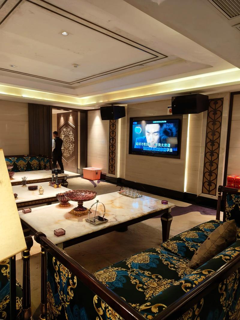 武汉商务ktv开启商务ktv新玩法体验-蔡甸区ktv预定